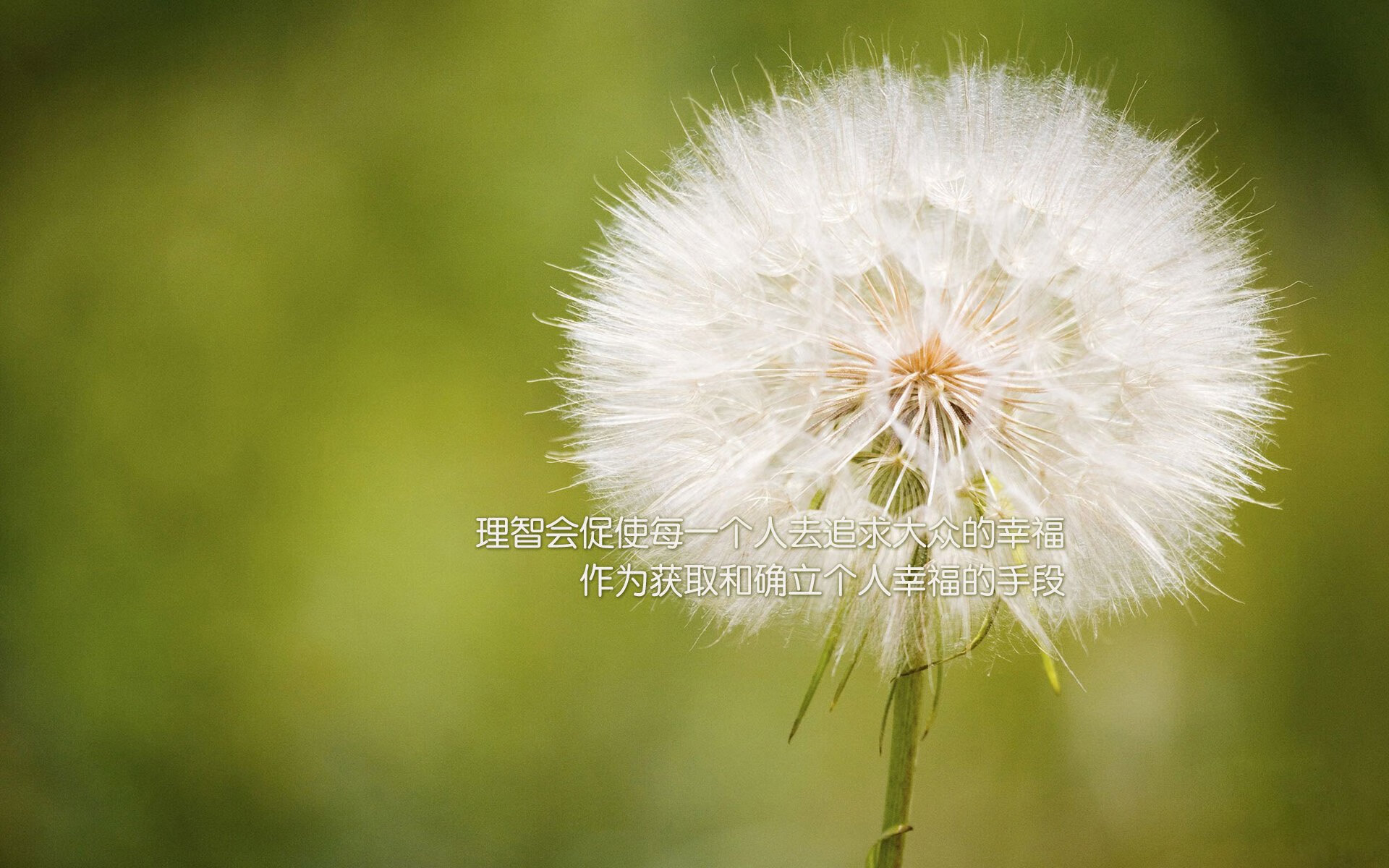 【最新比赛规则介绍】罚分细节及犯规判定标准，比赛罚款