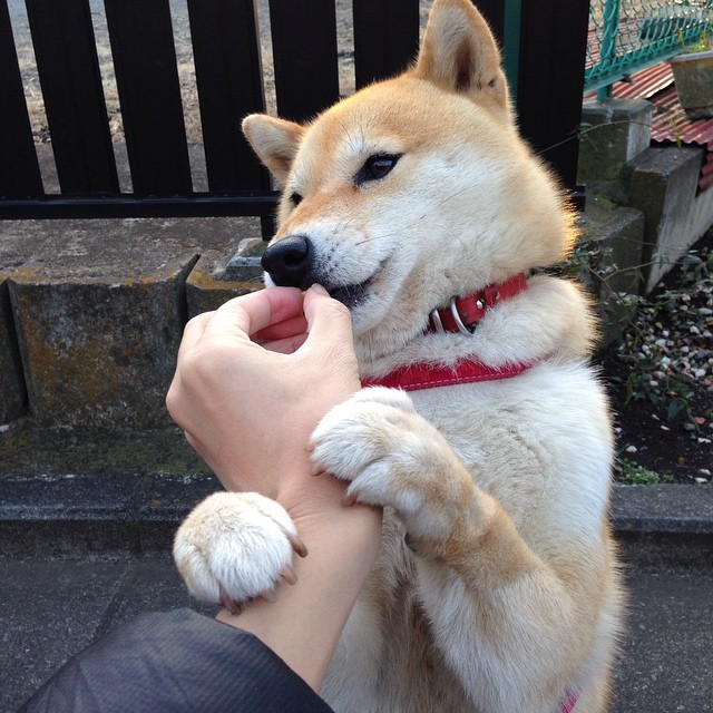 关键瞬间:王强立下汗马功劳,末节5次得分助队取胜!,2005王强