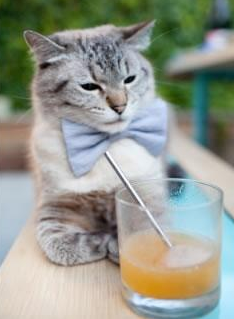 九游(jiuyou)官方网站-_冠军返场：传奇对决带来完美童话结局_，王者荣耀传奇对决