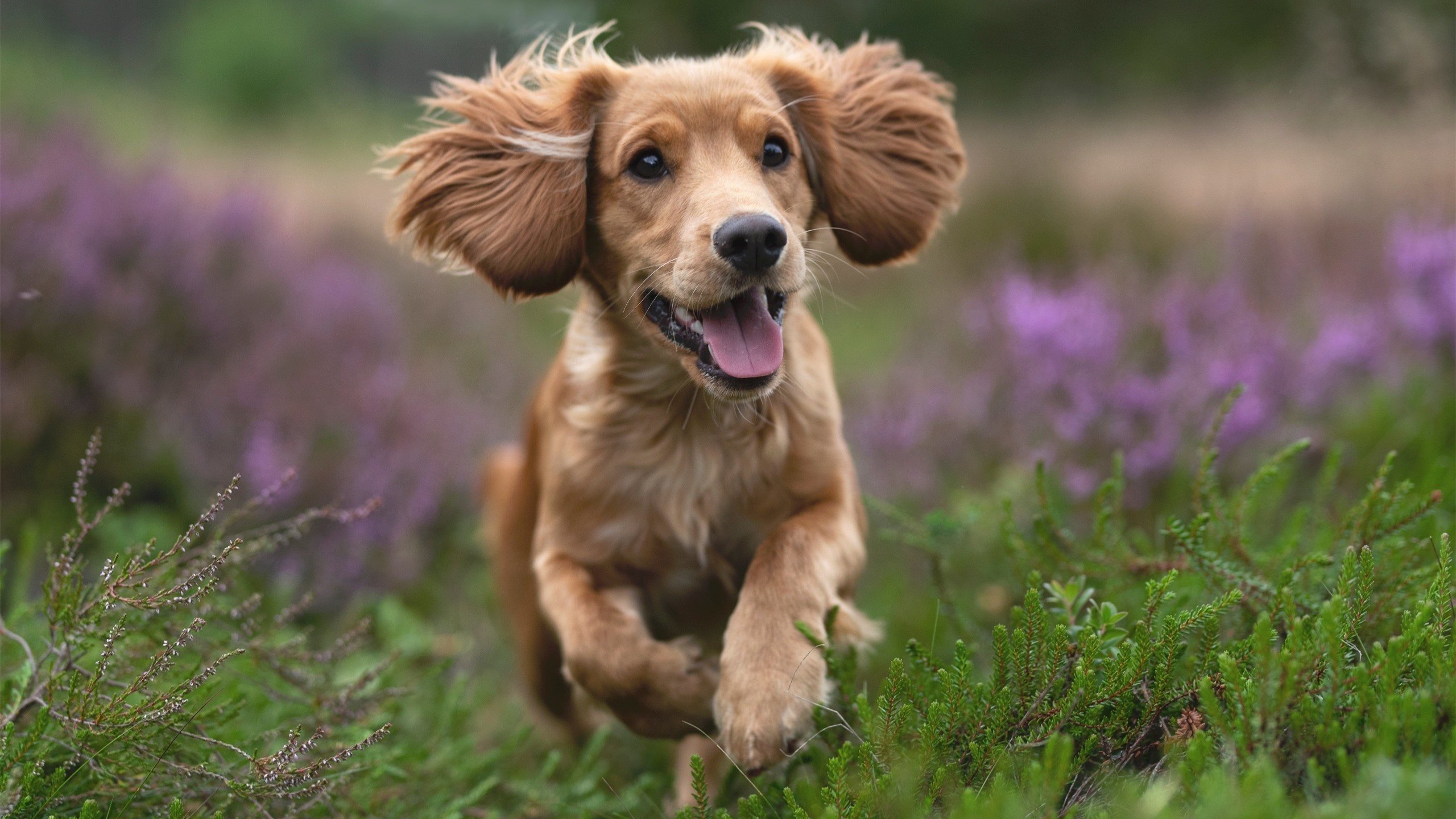 _大自然极限漂流：在急流中体验勇气_，大自然切777