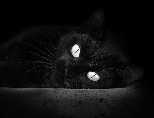 “法甲激烈对抗，多队竞争冠军席位”，法甲夺冠排行