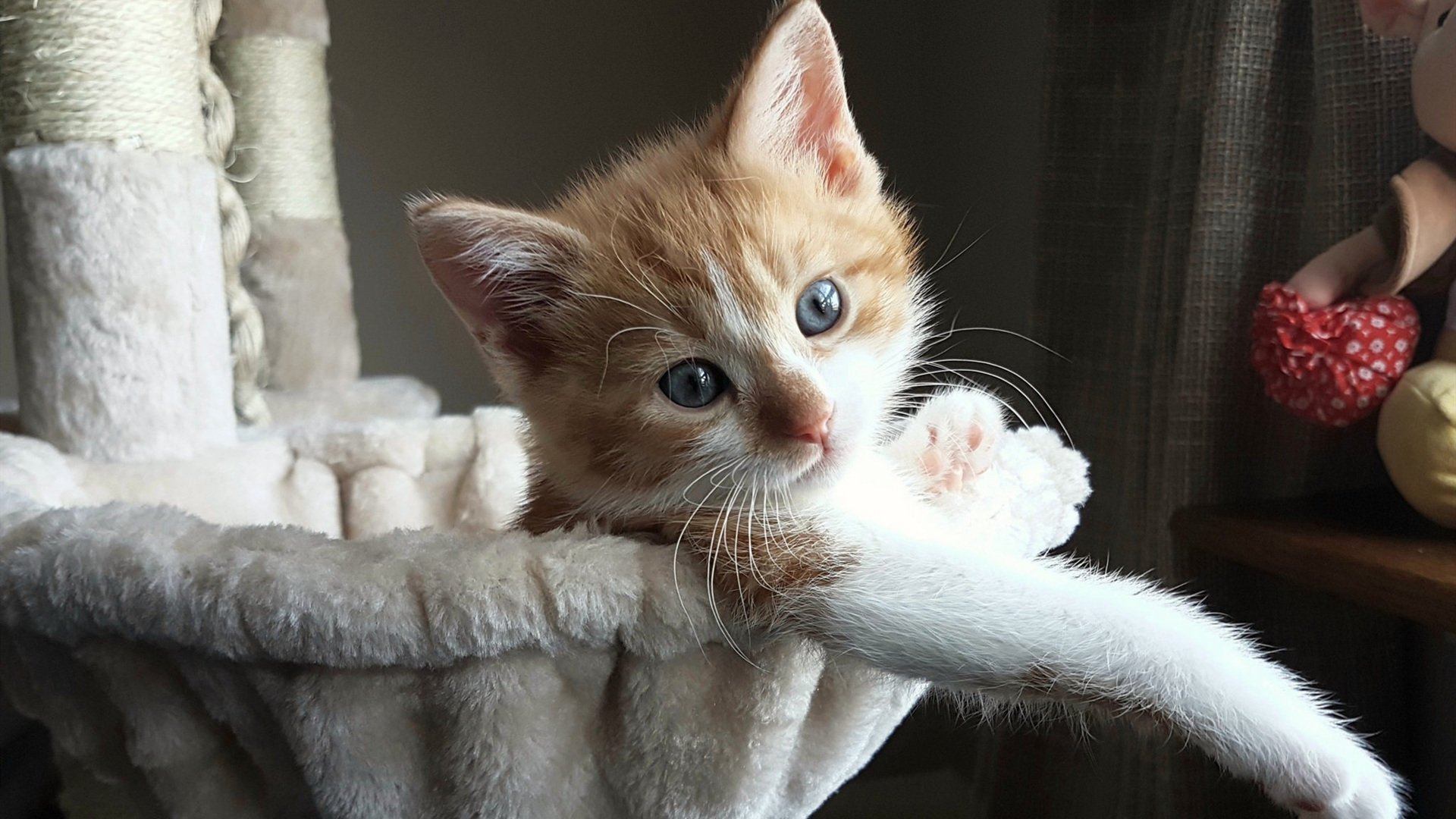 南美对决：阿根廷险胜乌拉圭，南美洲杯阿根廷